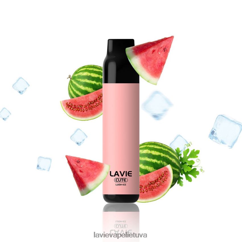 N226RV285 Lavie Vape Price | sodrus ledas LAVIE BAR 3000 išpūtimų